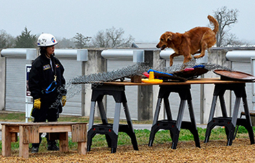 FEMA Canine Training