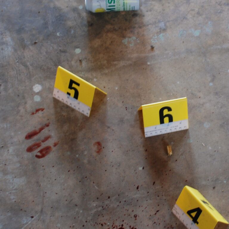 Forensic Investigation & Evidence Management