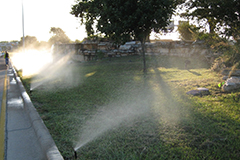 landscape with water irrigation