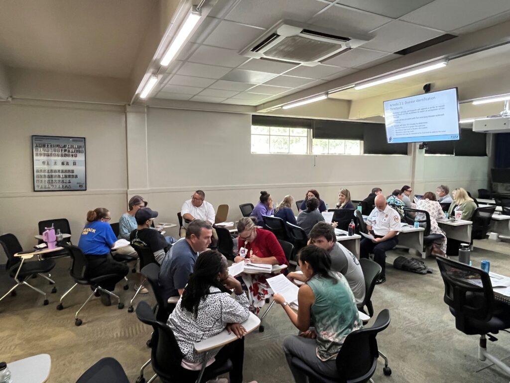 People sitting in desk working together