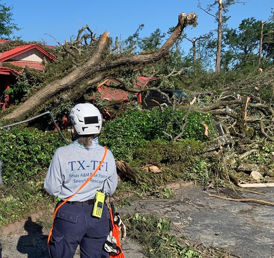 Texas Task Force 1 member surveys damage in Onalaska, Texas.
